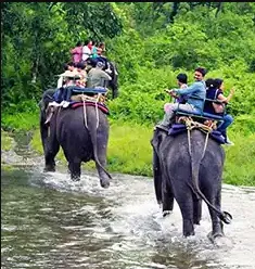 Dooars Tour Package from Kolkata: Discover Wildlife, Rivers & Serene Landscapes