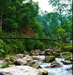 Dooars Tour Package from Kolkata: Discover Wildlife, Rivers & Serene Landscapes