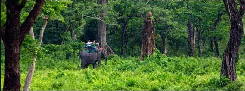 Dooars Tour Package from Kolkata: Discover Wildlife, Rivers & Serene Landscapes