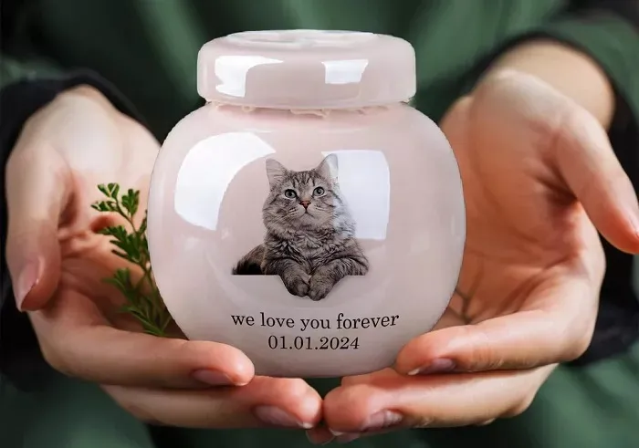 What is Pet Urn Memorial? Complete Guide