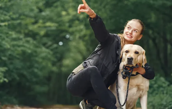 How to Turn a High-Energy Dog Into a Calm, Obedient Companion