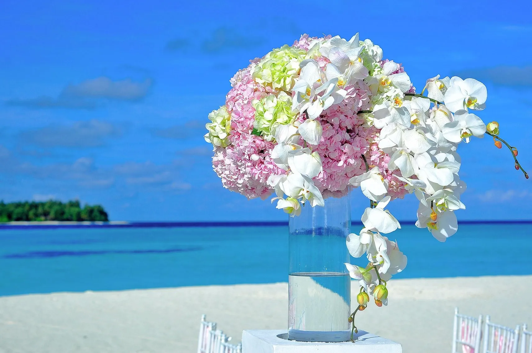 Top 7 Flower Arrangements for Every Occasion from a Local Florist on the Gold Coast