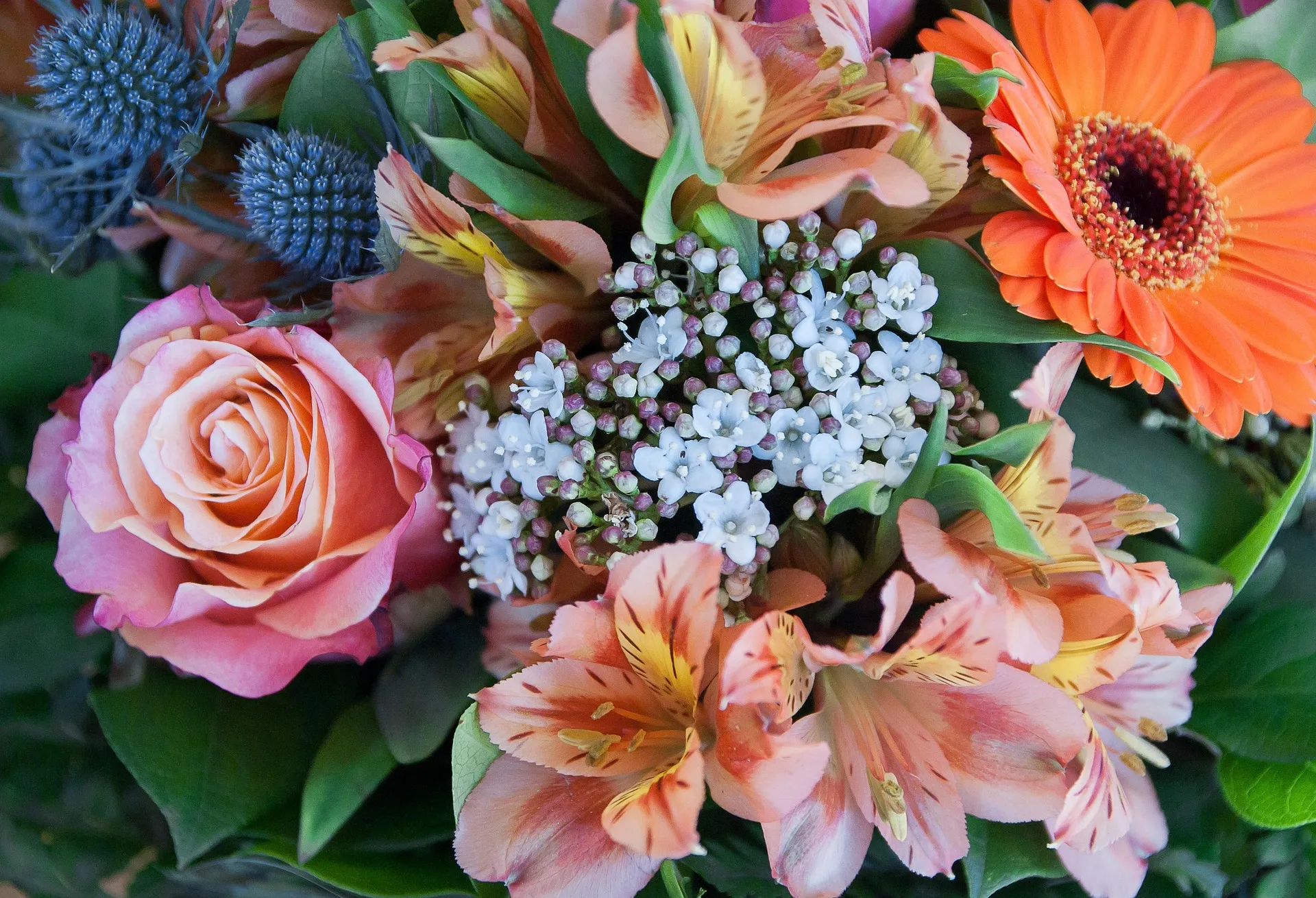 Top 7 Flower Arrangements for Every Occasion from a Local Florist on the Gold Coast