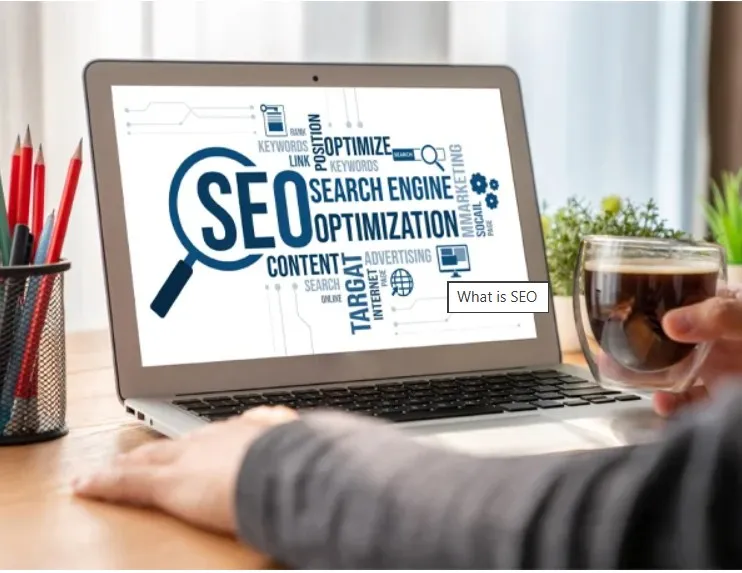 SEO New York NY Experts Driving Organic Growth