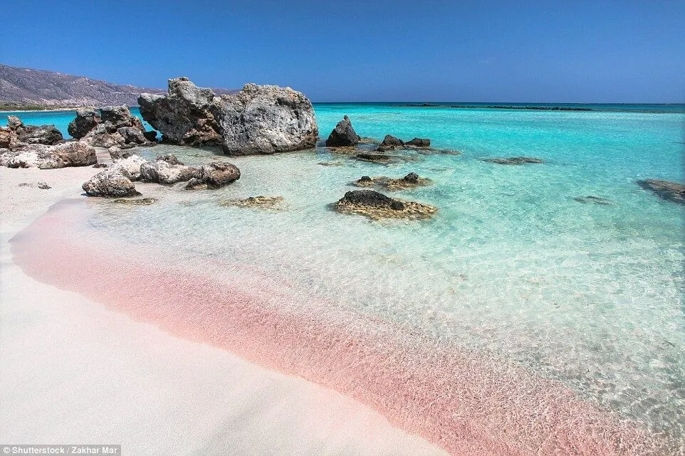 How Pink Sand Experience In Bermuda Redefines Beach Travel
