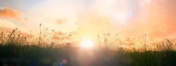 Chinese & East Asian Therapist NYC: Culturally Attuned Care at Alisa Wu Therapy