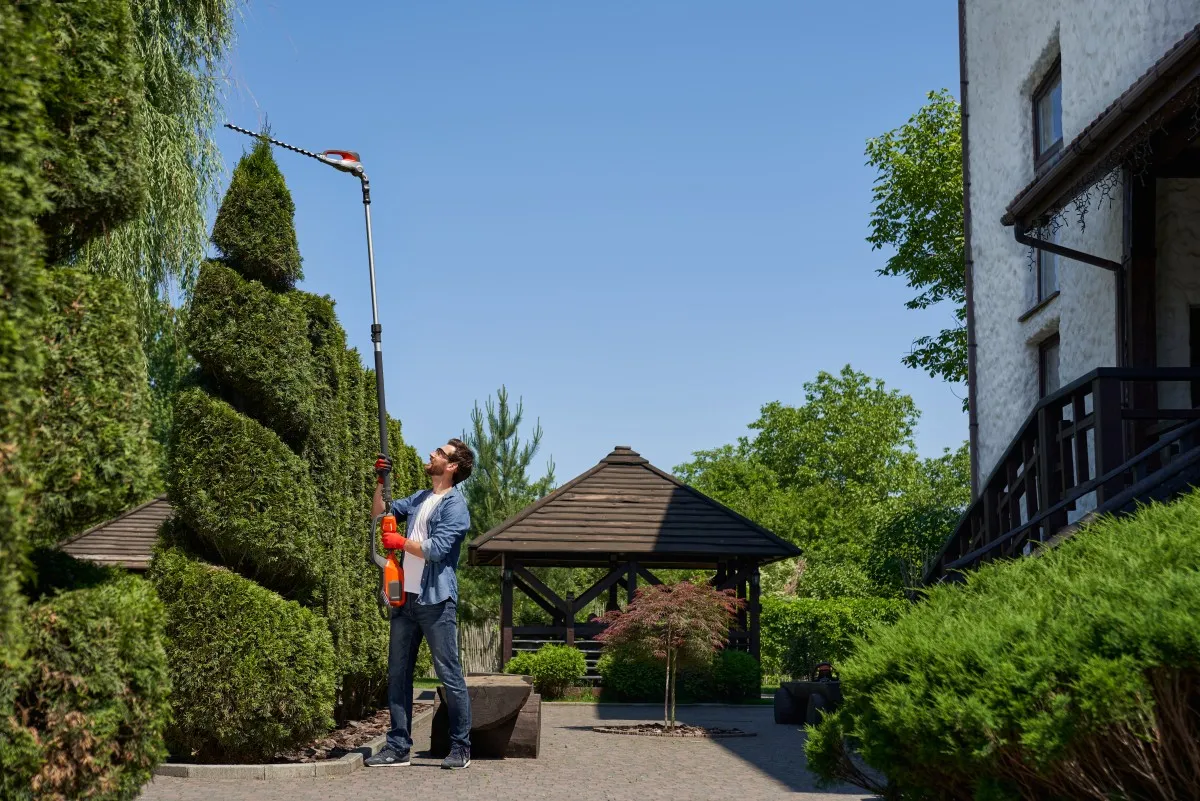 Tree Care for Outdoor Lighting and Visibility in Buffalo, NY
