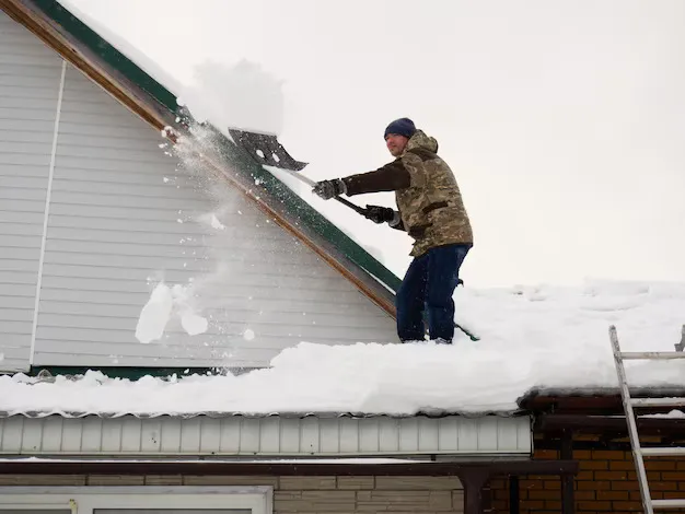 DIY vs Professional Roof Ice Dam Removal: What Works Best in Quebec?