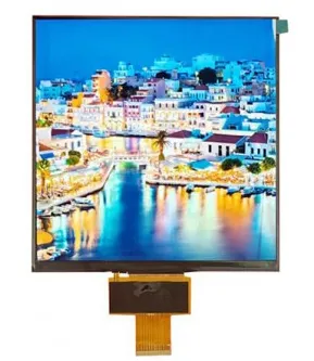 What Are Monochrome Display and Square LCD Screen Applications