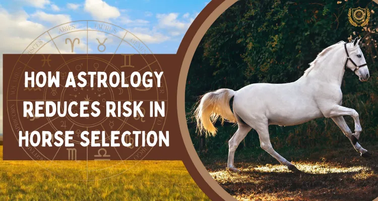 How Astrology Reduces Risk in Horse Selection