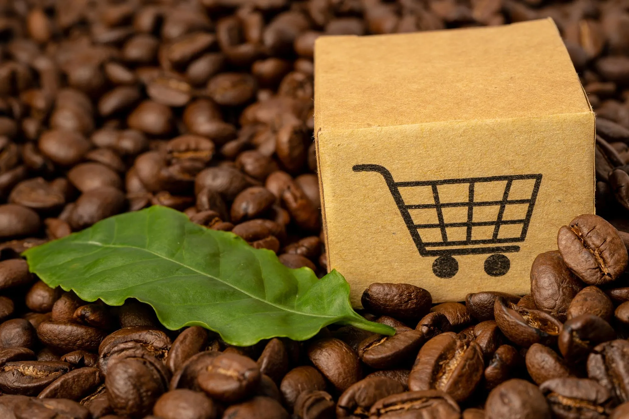 Buy Roasted Coffee Online Texas: Fresh Roasted Coffee Beans Delivered to Your Door