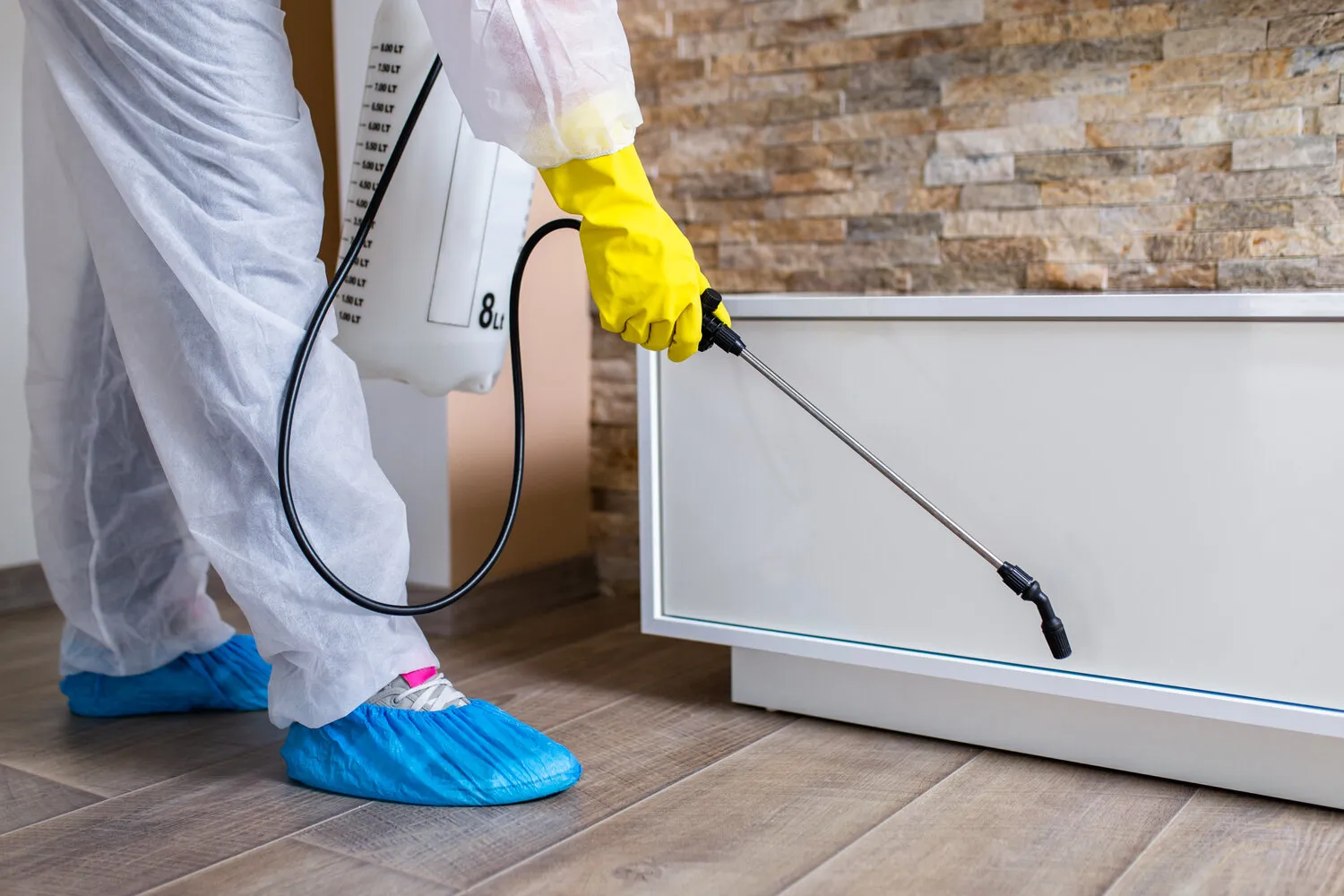 Trusted Pest Control Services for Homes and Businesses