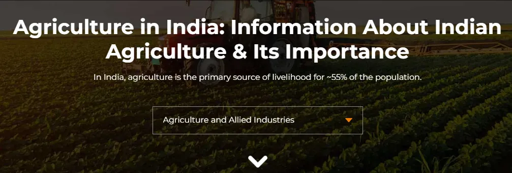 Indian Handicrafts Industry: Growth, Export Trends & Future Opportunities