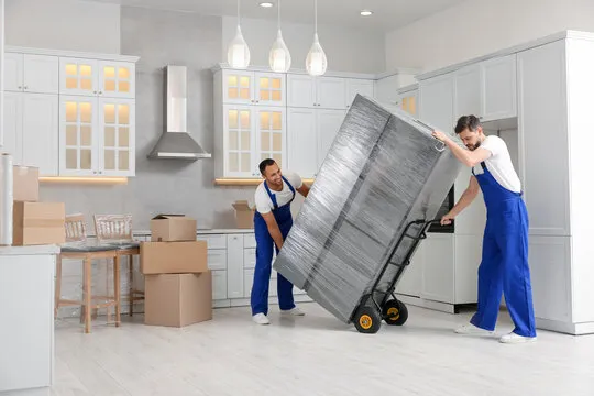 Apartment Moving Triangle VA: Professional Solutions for Stress-Free Relocation