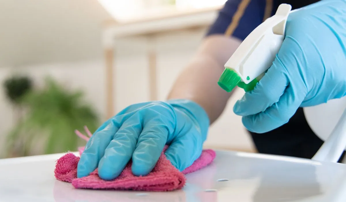 What Do Professional House Cleaning Services Actually Do?