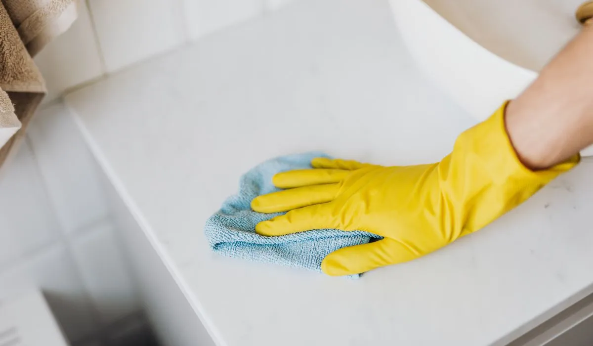 What Do Professional House Cleaning Services Actually Do?