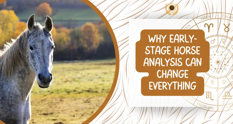 Why Early-Stage Horse Analysis Can Change Everything