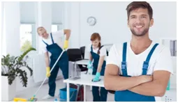 Role of Professional Cleaners for Residential & Commercial Dwellings