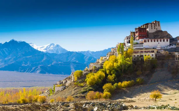 Camping in Ladakh: Best Spots for a Magical Night Under the Stars