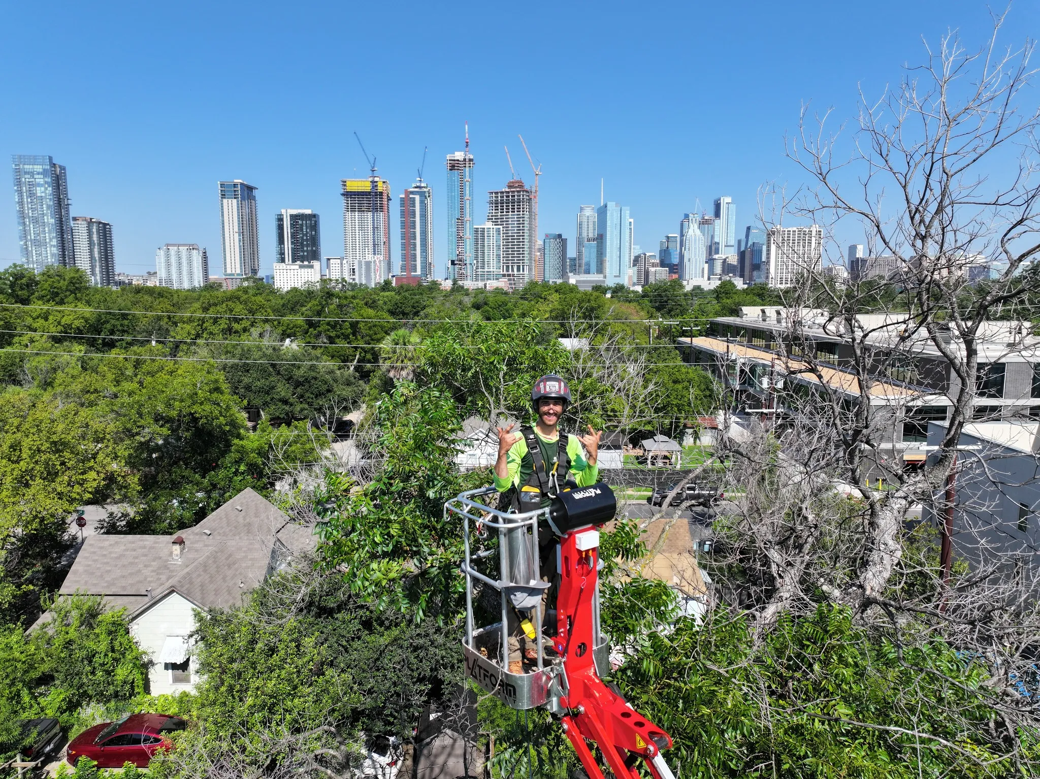 Tree Trimming in Austin Is Common, But Strategic Pruning Keeps Trees Strong During Texas Heat