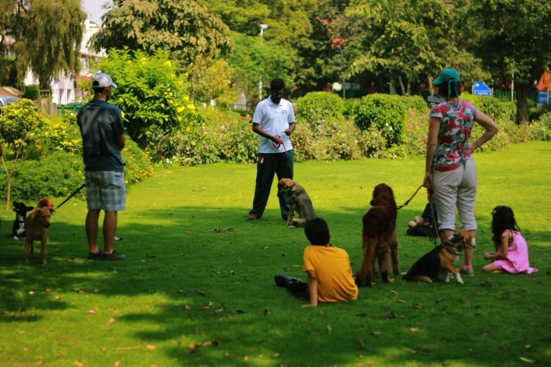 Best Guard Dogs for Families: Complete Guide to Safe & Loyal Protection