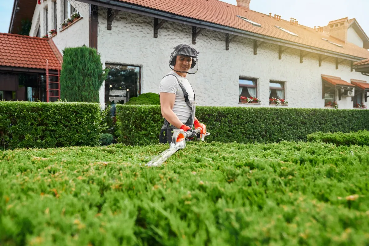 Professional Tree Care Services for Safe and Well-Managed Outdoor Spaces