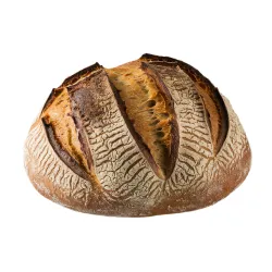 Why Every Baker Needs a Sourdough Freezing Storage Bag (Complete Guide)