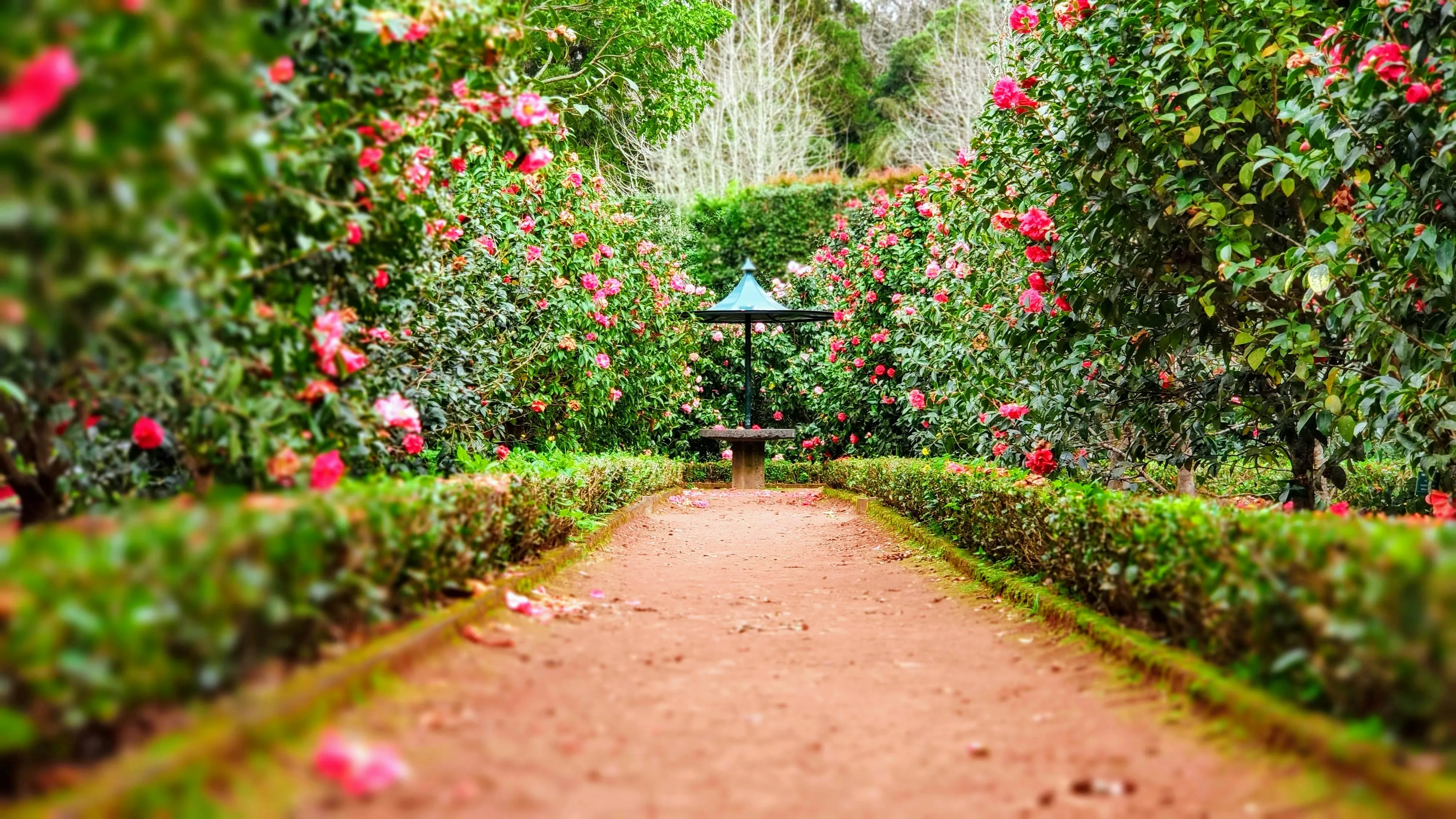 9 Of The Best Gardening Websites You Should Bookmark Right Now