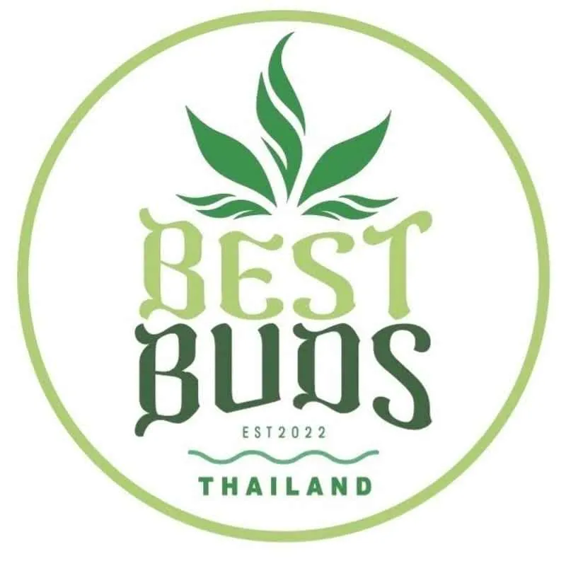 Discover the Best Marijuana Shop Bangkok Experience at Best Buds Thailand
