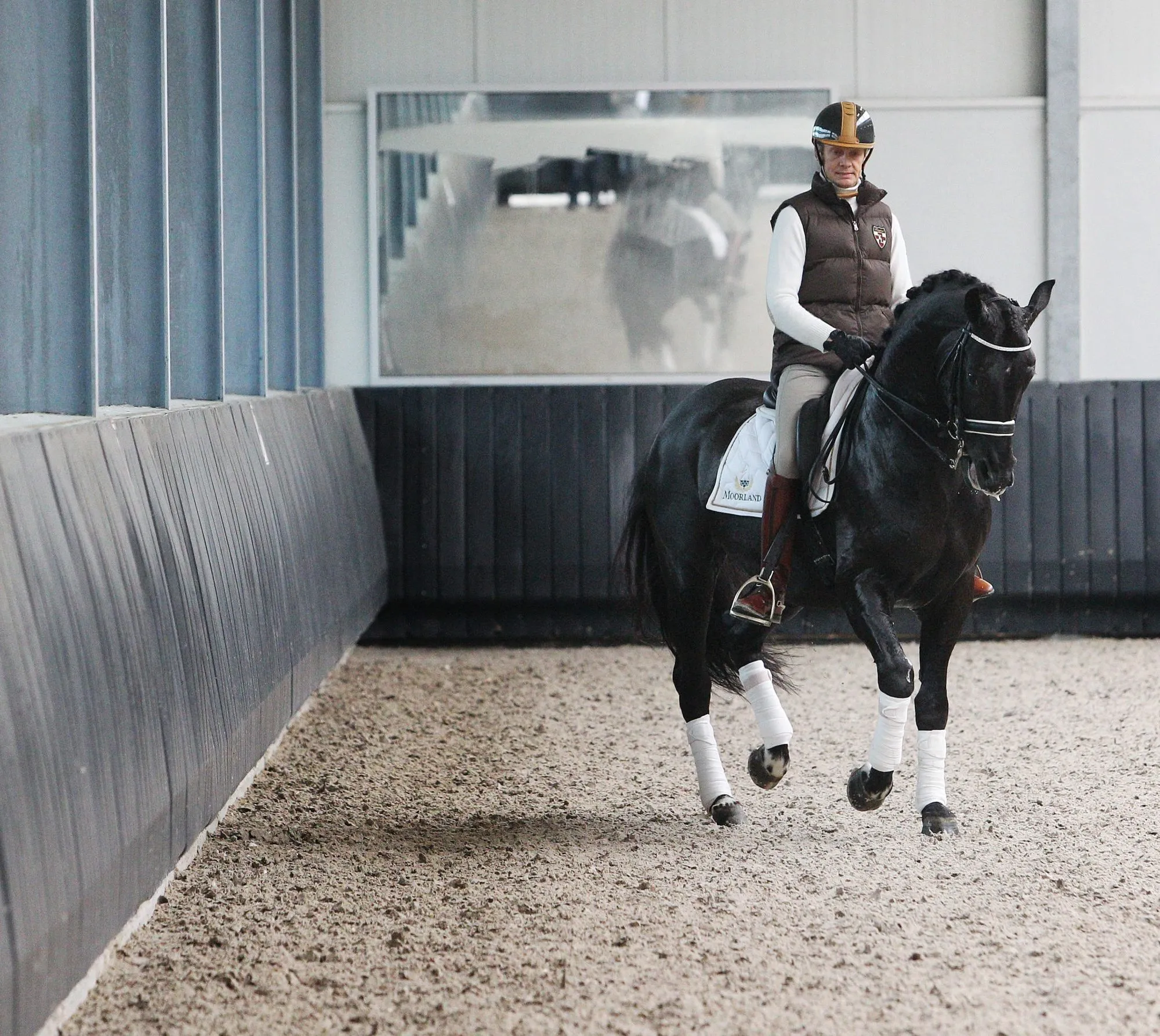 What to Consider Before Investing in the Best Horse Vibration Plate for Therapy
