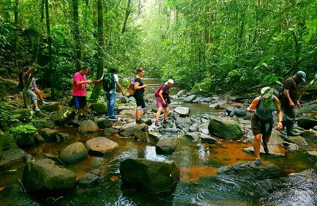 Best 7-Day Travel Package to Manu National Park for Nature Lovers