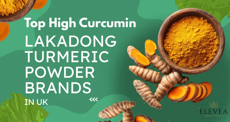 Top High Curcumin Lakadong Turmeric Powder Brands in UK