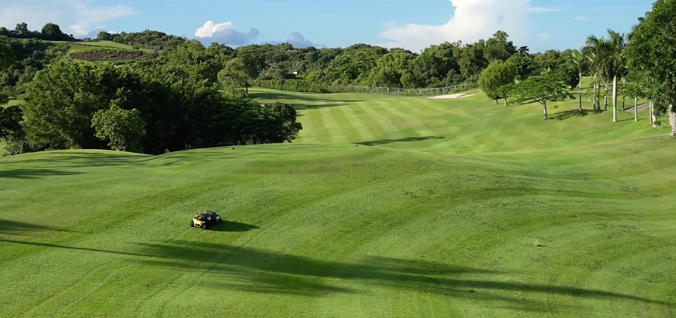 Why Robot Lawn Mowers Are Changing the Way Homeowners Care for Their Yards