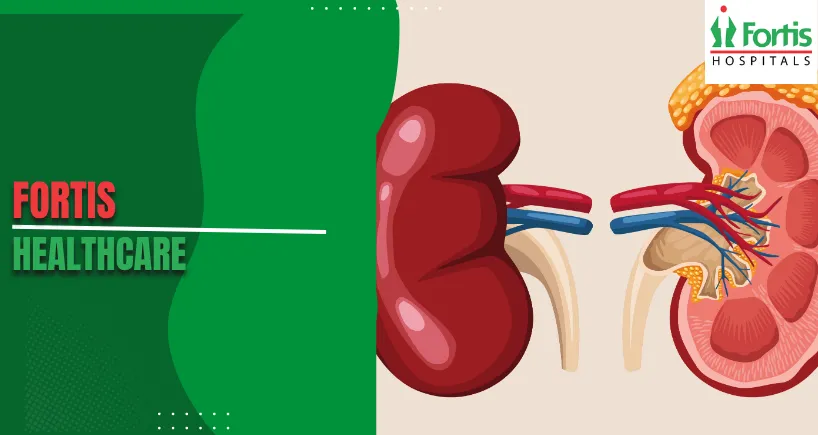 Keeping Your Kidneys Healthy: When to See a Kidney Specialist