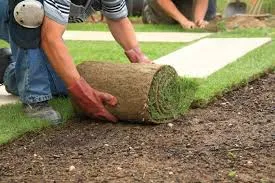 Calgary Artificial Grass & Synthetic Turf Installation