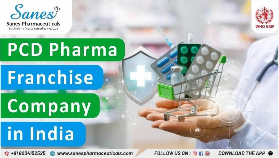 Powering Healthcare Distribution: Understanding PCD Pharma Products