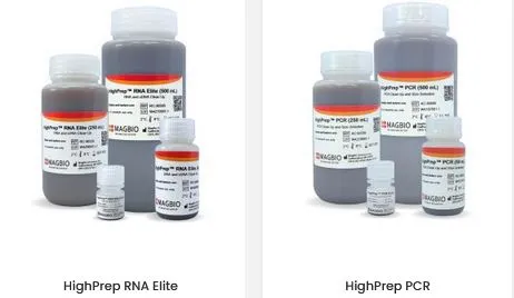Common Mistakes in NGS Sample Preparation and How to Avoid Them