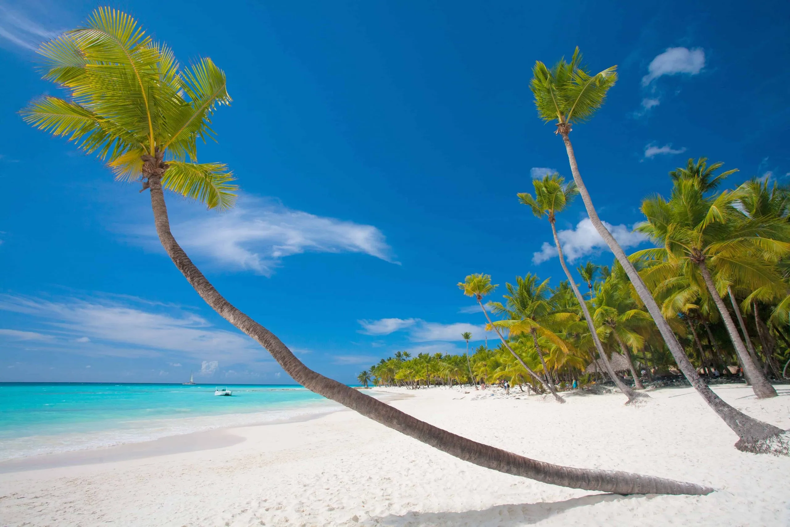 Create Lasting Memories with Exciting Zanzibar Family Holidays Beyond Beaches and Resorts