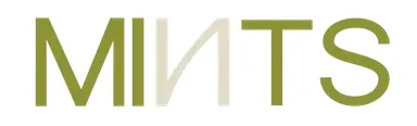 Grow Your Business with Digital Marketing Services in UAE by Mints Global