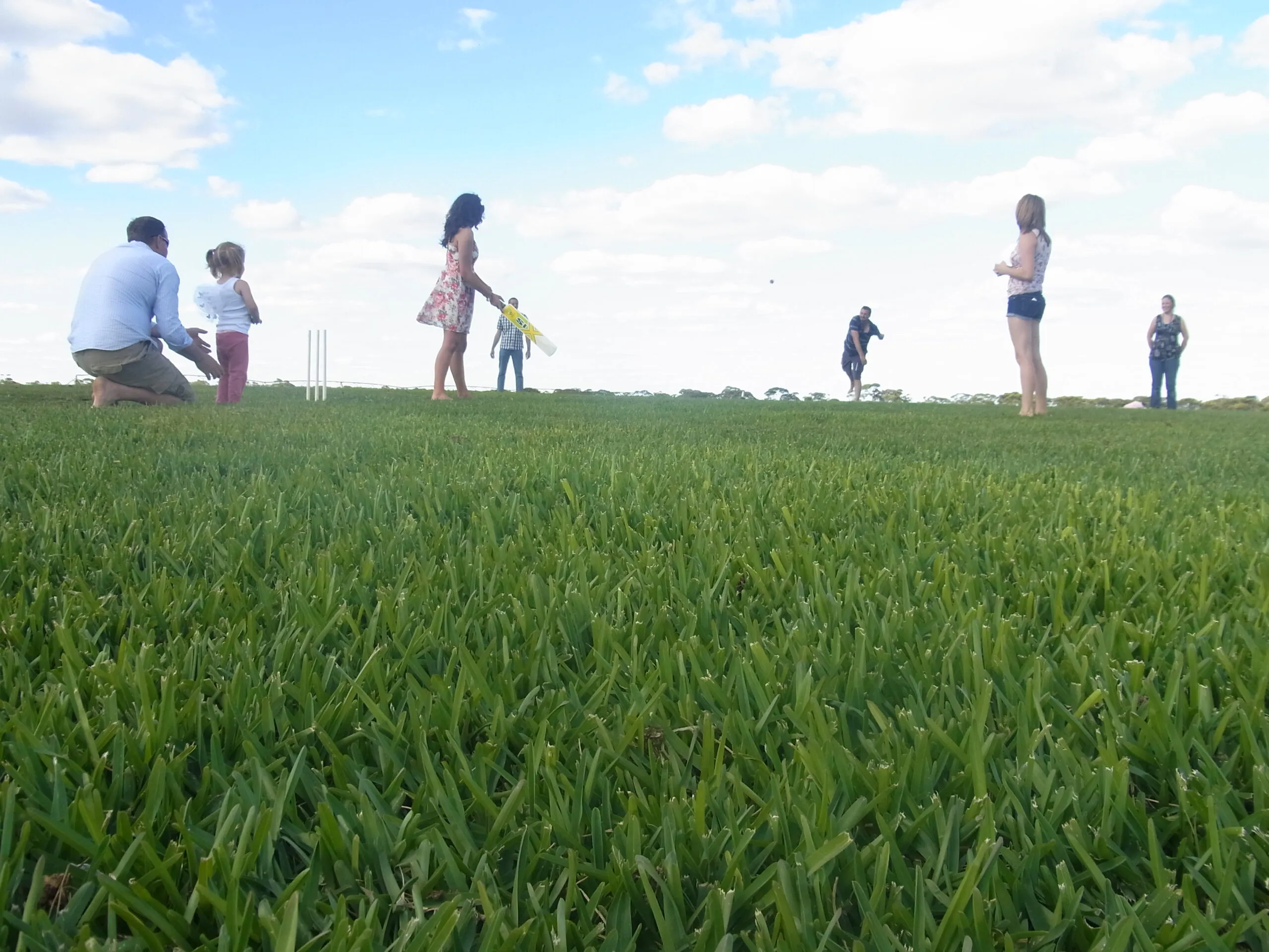 A Complete Homeowner’s Guide to Turf Farms: Everything You Need to Know Before Laying New Turf