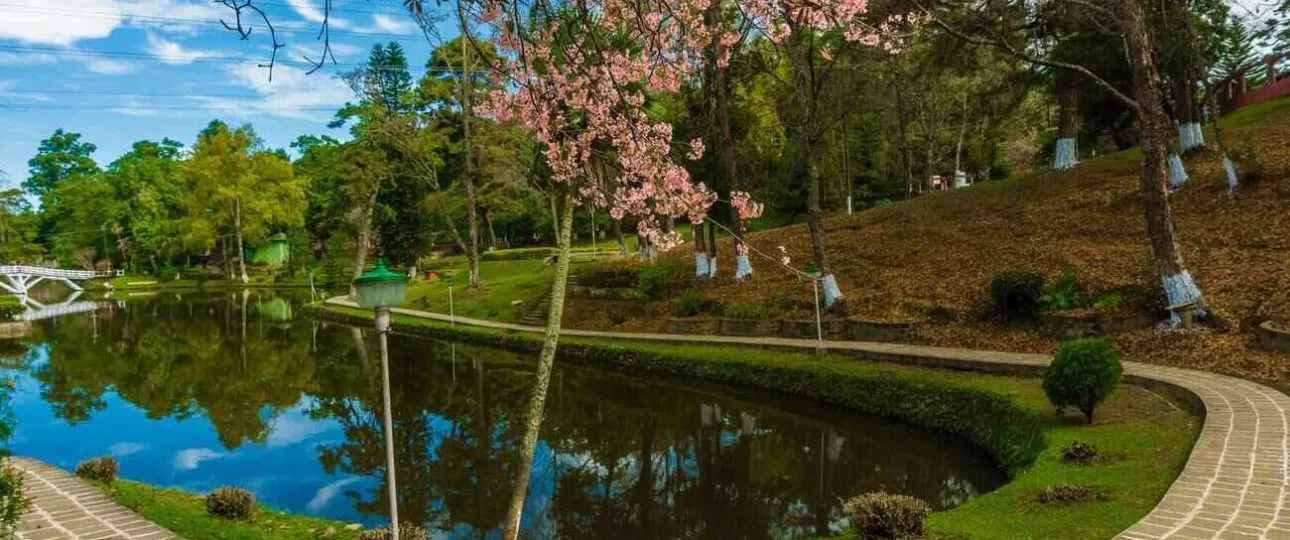 Most Beautiful Villages in Meghalaya You Should Visit Once