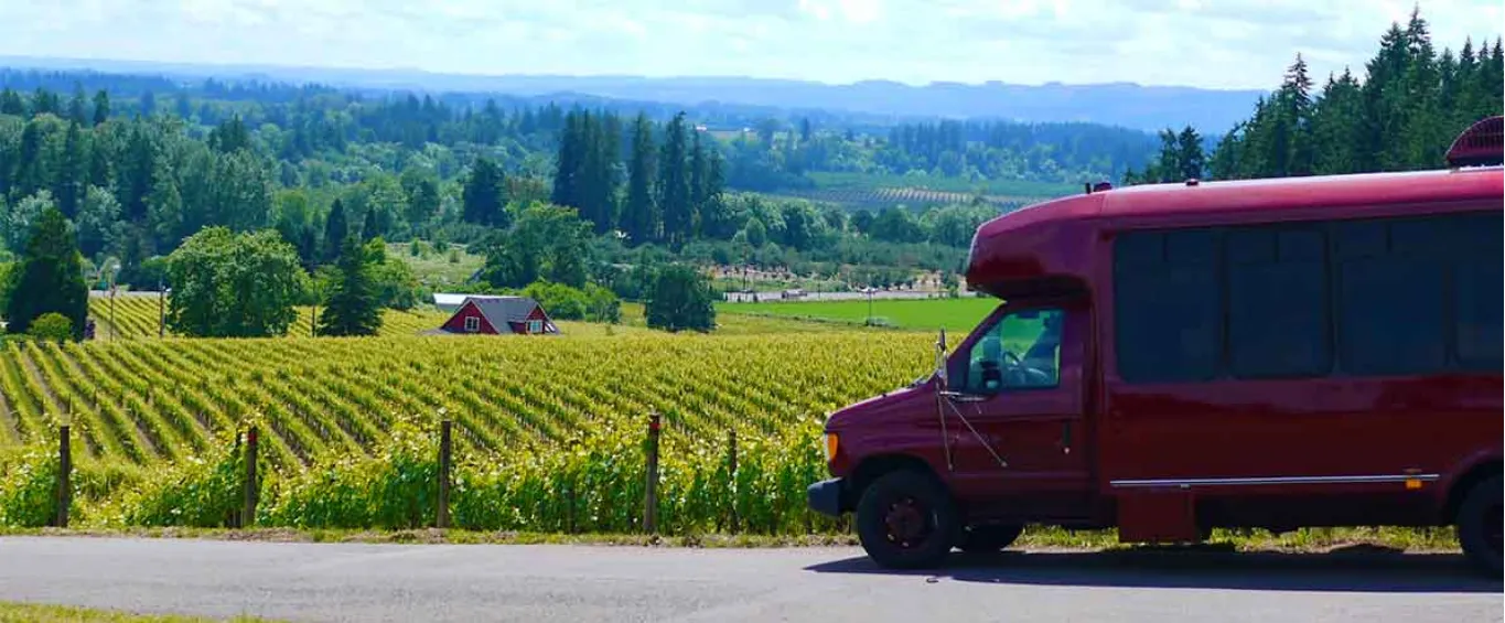 Why a Cashiers Wine Tour Is Ideal for Relaxation
