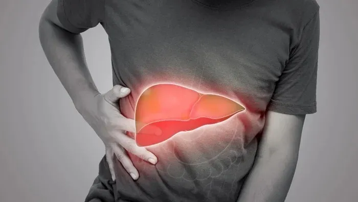 How AI is Helping Treat Liver Diseases in Ayurveda?