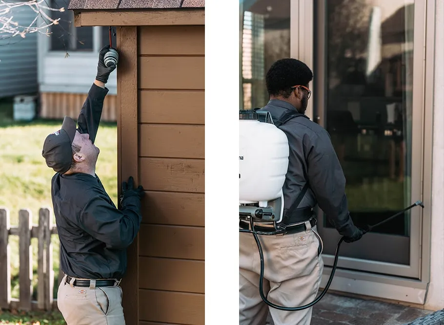 The Ultimate Guide to Pest Control in Columbus, Ohio