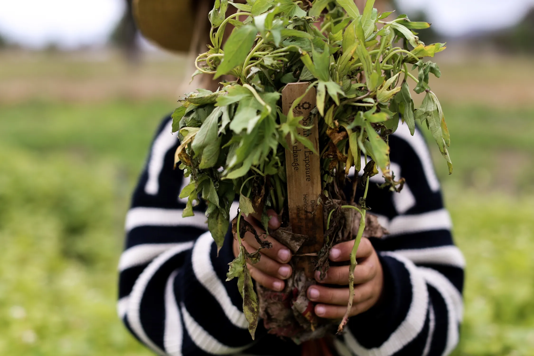 3 Reasons Earth Day Is Important for Farmers and Their Animals