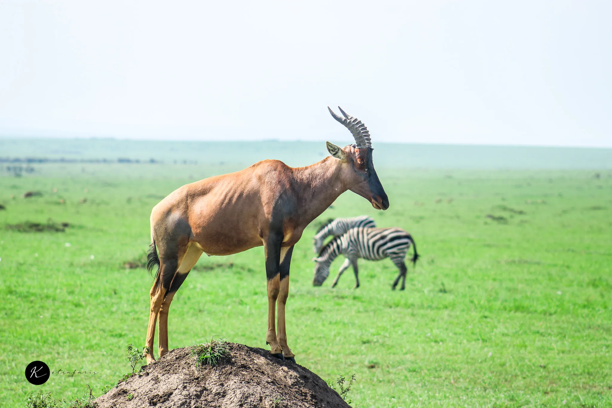 Adventure & Specialty Safaris in Kenya: Walking Tours, Hot Air Balloon Rides & Maasai Cultural Experiences