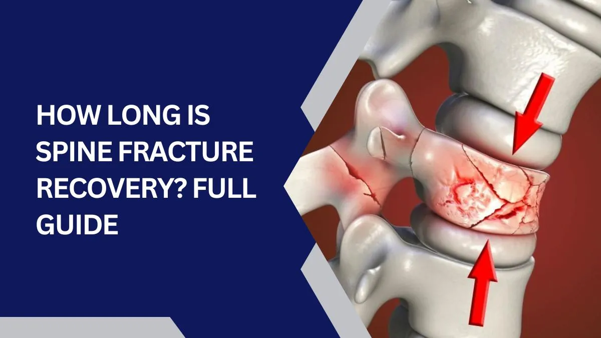 How Long Is Spine Fracture Recovery? Full Guide