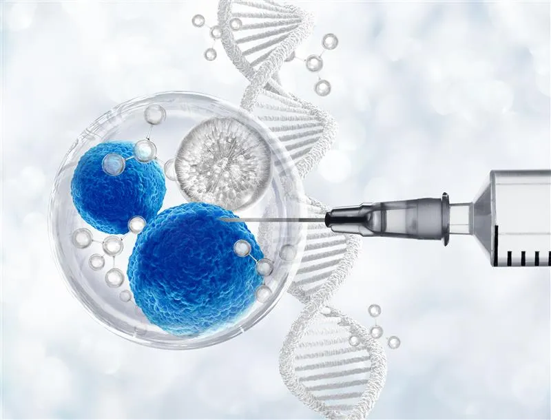 How Umbilical Stem Cell Therapy Supports Healing and Recovery