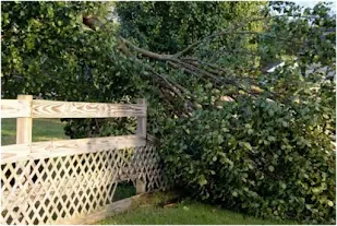 Five Warning Signs Signalling Fence Repairs are Urgent