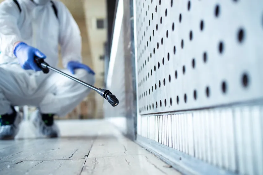 Say Goodbye to Mould: Easy Tips for a Clean and Healthy Home in Singapore